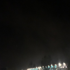 Pflaster