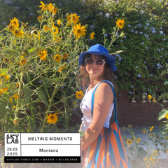 Melting Moments ep 16 - Skylab Radio