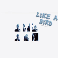 like a bird