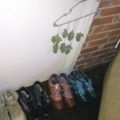 roomba prod agitation