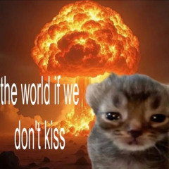 Sad reve kitten