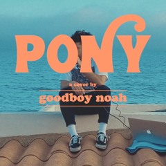 Pony (Ginuwine Cover)