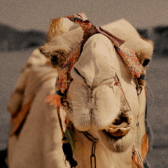 009 Arabic Gang Tempo 100 C#m with Sound Tag
