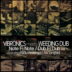 Hard Living - Vibronics Meets Weeding Dub feat. Nia Songbird