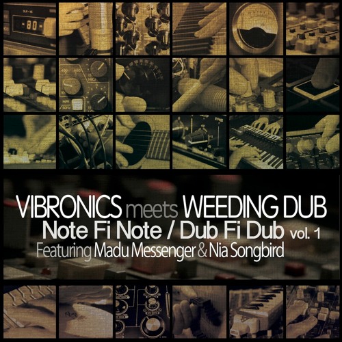 Never Lie Down - Vibronics Meets Weeding feat. Madu Messenger