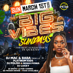 BIG VIBES SUNDAYS 3.1.26  @DJLUCKYNYC_ DJ POLISH NOAH POWA