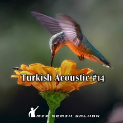Turkish Acoustic #14