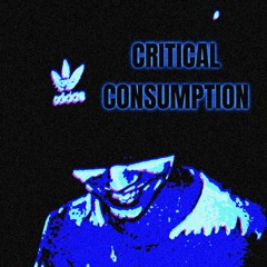 CRITICAL CONSUMPTION