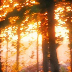 Excuse me - islandkiddd prod 1souldontsellit