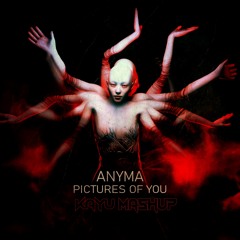 ANYMA - PICTURES OF YOU x KAYU - HUMAN (Unreleased ID) (Mashup) Free Download