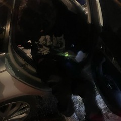 elijxhwtf i dont know why i feel what i feel prod boolymon (mixed)