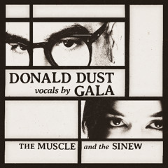 PREMIERE: Donald Dust - The Muscle and the Sinew (Vocals by Gala) [Enter Planet Dust]