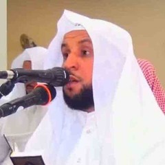 يوسف السعيد - كلما خبت زدناهم سعيرا