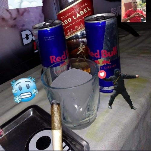 MC FJ DA KELSON - A META É VOLTAR PRA ALTA [ FT. AR BABY _ 2D ] TROPA DO URSO