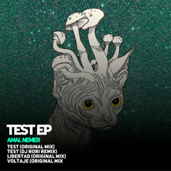 Test (DJ Rori Remix)