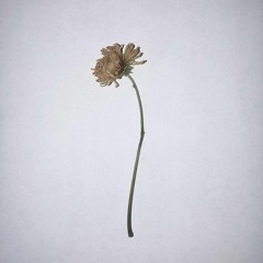 "You, In Dreams" (Instrumental)
