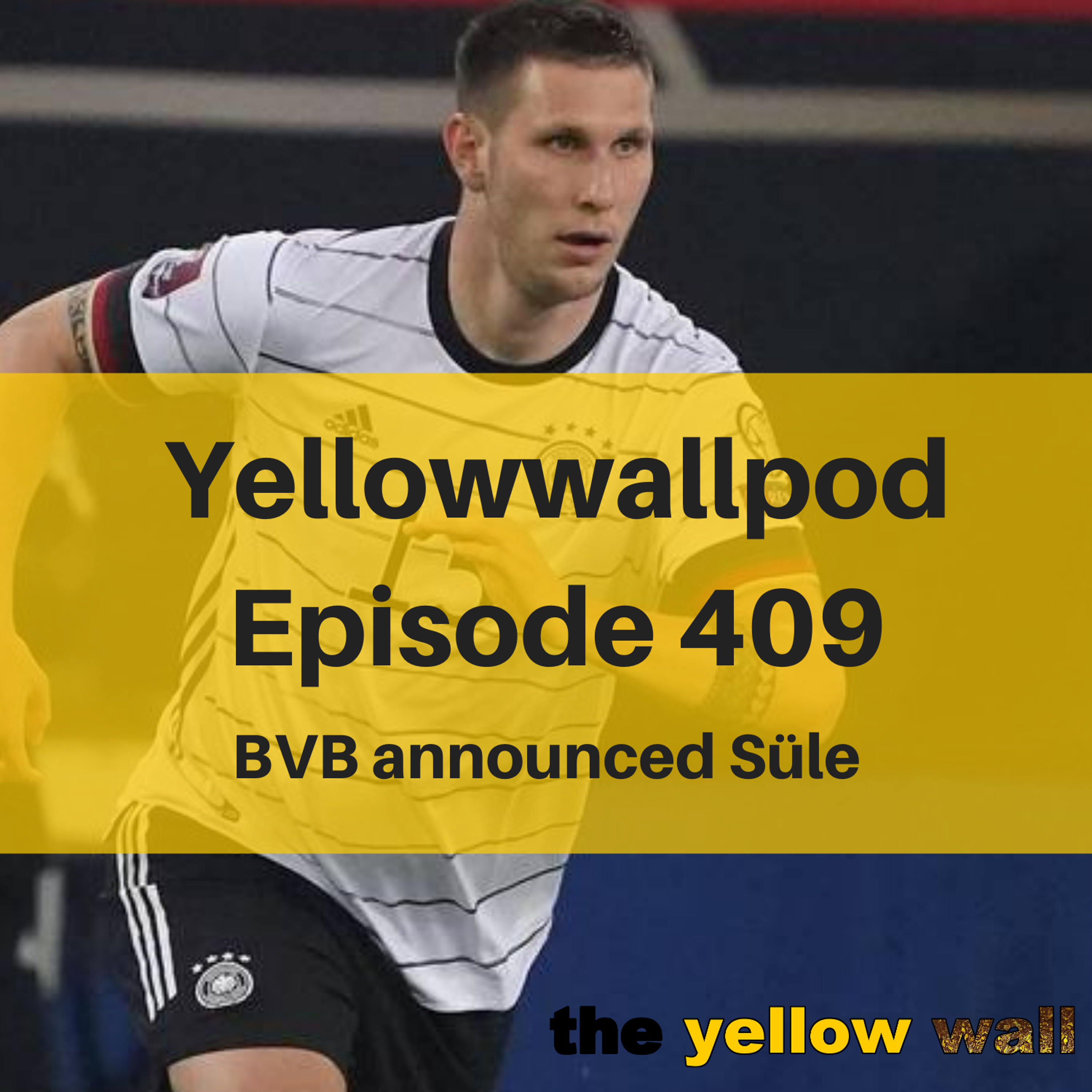 Yellowwallpod