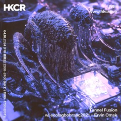 Tunnel Fusion w/ ecolagbohrsac2021 + Ervin Omsk - 04/10/2024