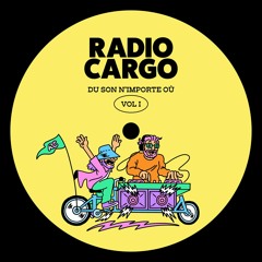 PREMIERE: Radio Cargo - The One I Want [RC Records]
