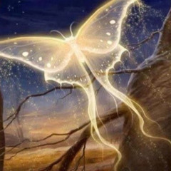 Night Eye (Prod k6kao)