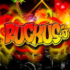 Dj Ruckus Oldskool Bassline Mix 11.04.25
