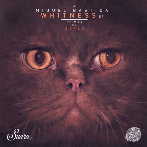 Whitness (Original Mix)