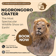 Ngorongoro Crater The Most Spectacular Wildlife Show on Earth!