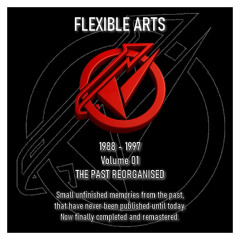 15 - Flexible Arts  - Look Before We Fade (1996)