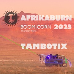 AfrikaBurn 2023 - TambotiX Thursday 9pm @Boomicorn