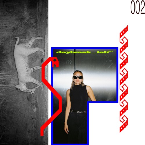dbrk_lab 002: SASO