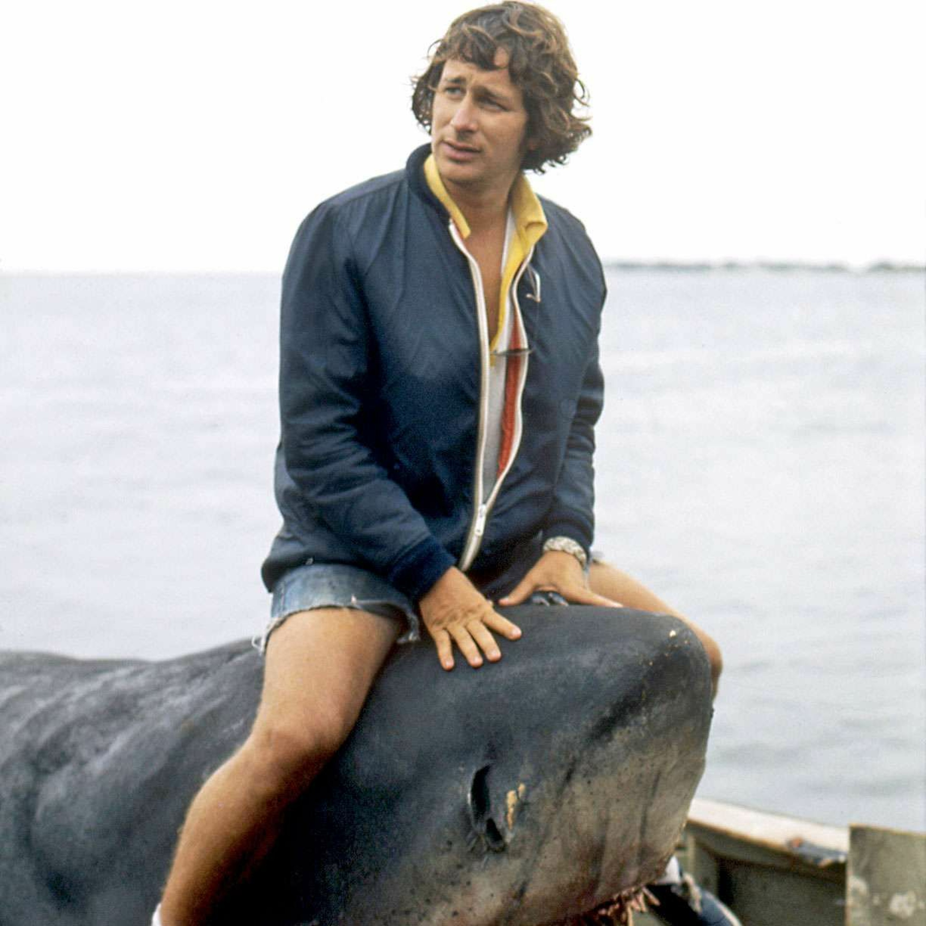 KINOPOD. STEVEN SPIELBERG (Avec Laurent Bouzereau, Jean Veber et Laurent Vachaud) episode artwork