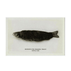 Du kanns wierklech frou sinn