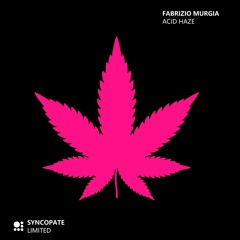 Acid Haze - Fabrizio Murgia (Original Mix)