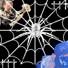 Spider twins