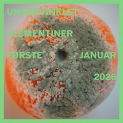 undervinklet - 01012026 (klementiner)