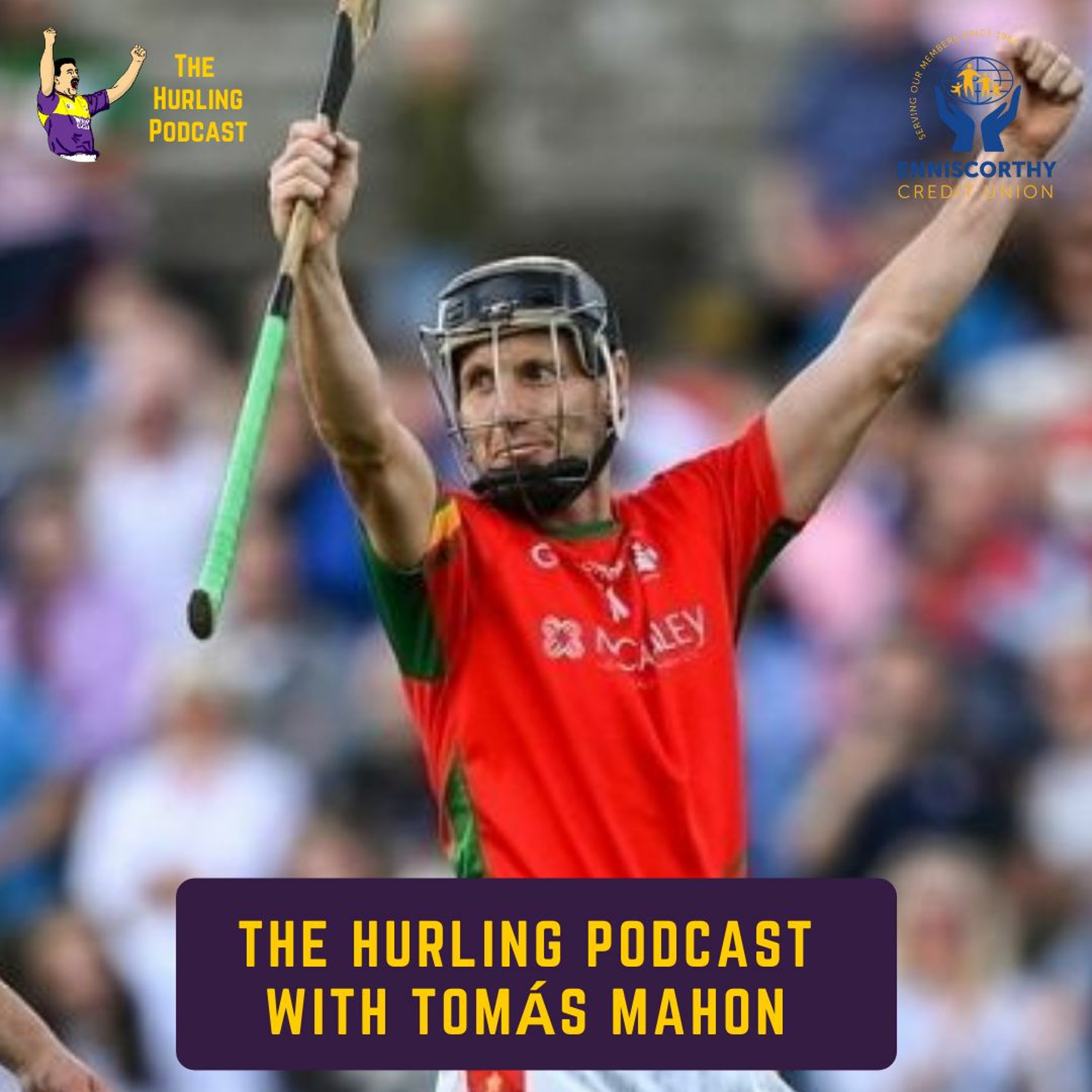 The Wexford Hurling Podcast