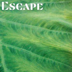 Escape