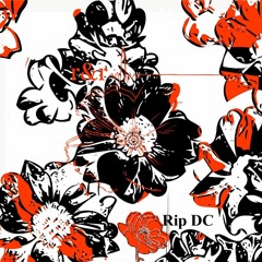 r&r - Rip D.C.