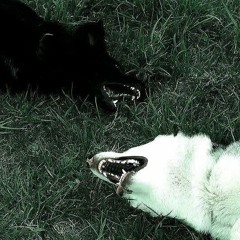 zombie (letmedisappear)