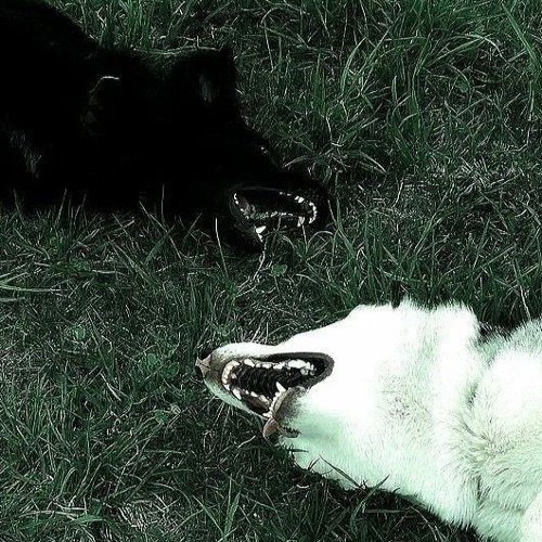 zombie (letmedisappear)