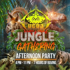 AFFIRMATION & RUDEBOY KEITH @ UCOJ JUNGLE GATHERING 1ST FEB 2020