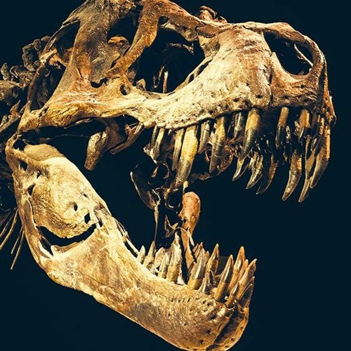 Protozilla