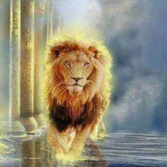 قد صعد الفاتك أمامنا + شعب الرب أسد + هللويا وضعت للبحر حدًا - خدمة السماء على الأرض - مصر