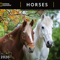 [Download] PDF 📒 National Geographic Horses 2020 Wall Calendar by  Zebra Publishing