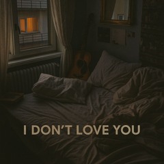 I DONT LOVE YOU