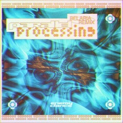 FEINSTOFF PREMIERE: Camion Bazar - Parallel Processing (Belaria Remix)