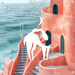 Unsal Koksal - Swan (Cafe De Anatolia)
