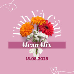 Tình và Cảm Vol1 - Mean Mix