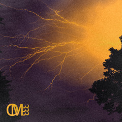 OM333