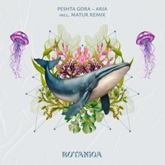 Peshta Gora - Aria (Matur Remix) [Botanica]